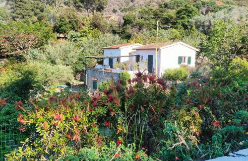 Villetta Sant'Andrea - Goelba - Foto 1