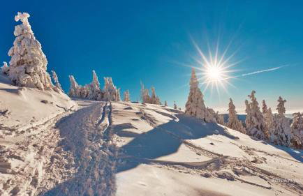 Agroturystyka,, Ranczo Kruszynki" - Foto 13