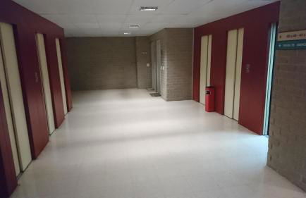 Fabiola Zentro - Foto 28