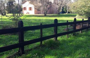 Tour des hirondelles - Foto 4