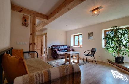 Ostoja Leśna Cisza - Foto 25