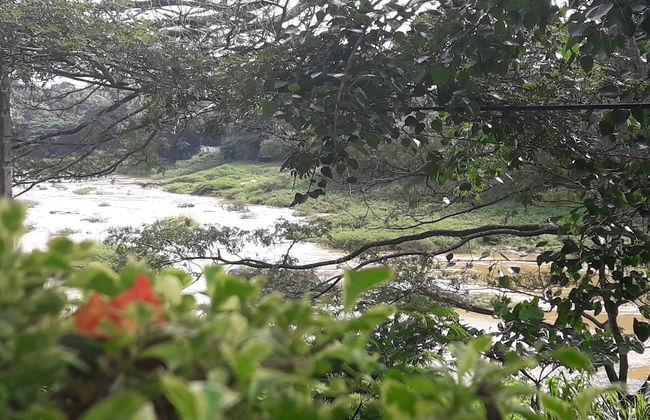 Riverine Cascade - Foto 22