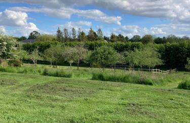 Clos Phitarra, charmant gîte pour 2 personnes à 7 mns d'Etretat - Foto 23