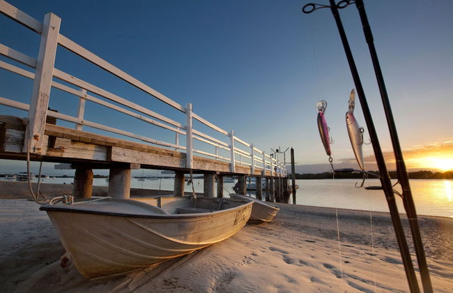 Jacobs Well Tourist Park - Foto 13