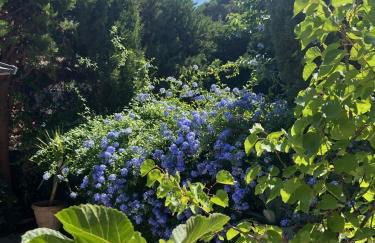 "Saint-Tropez" Superbe appartement avec Terrasse Jardin et Parking privé - Photo 23
