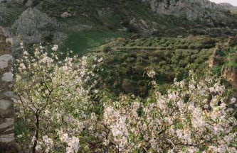 Capricho de Zuheros - Foto 41