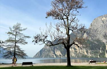 Garden & Pool Perugini - Foto 10