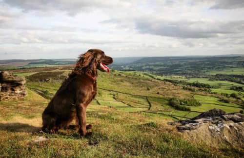 1 Bed in Darley Dale oc-w32014 - Foto 19