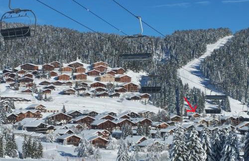 Les Saisies coté Légette appartement dans chalet LE NEPAL - Foto 8