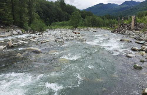 76GS - Genuine Log Cabin - WiFi - Pets Ok - Sleeps 4 home - Foto 72