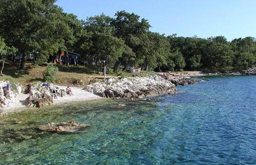 Studio Jasna - Photo 5