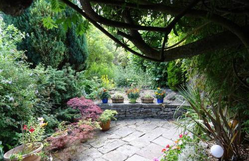 The Little Acorn - Photo 19