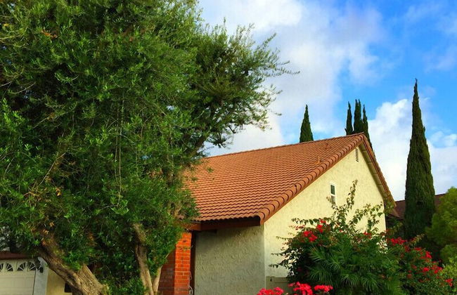 Romantic and Luxury Disney Villa - Foto 27