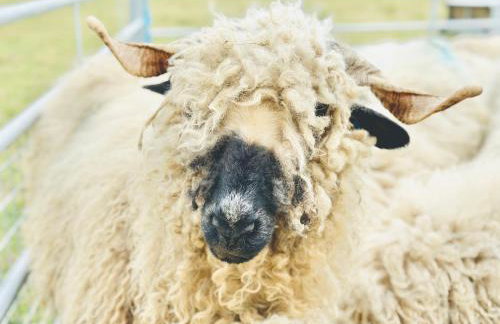 Parlour Barn - Photo 63