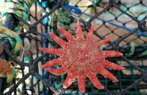 The Fisherman's Snug self catering North Uist - Foto 42