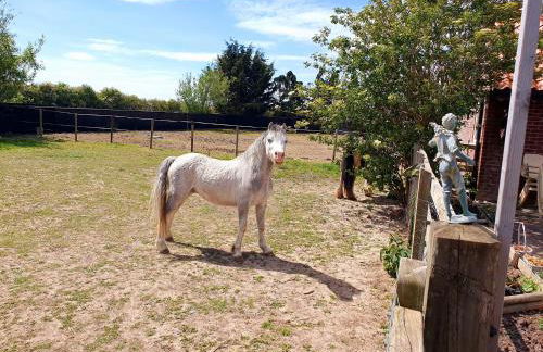 Sherwood Studio Annexe 1 Bedroom Entire Property - Foto 29