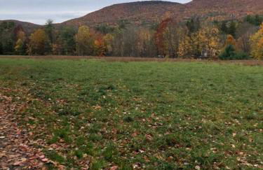 Enchanted Woodstock Cottage with hot tub - Foto 19