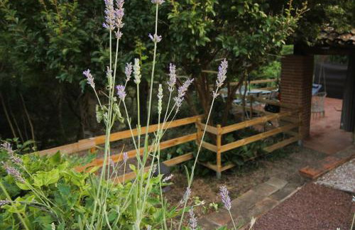 LOU PITCHOUN - Jacuzzi SPA Privé - Vignes - Proche ALBI et CORDES - Foto 14