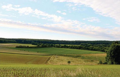 Ferienhaus 11 In Thalfang - Foto 17