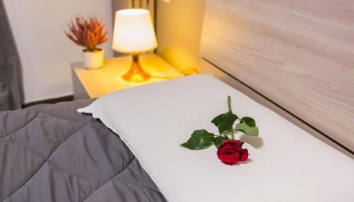 HH Hermoso Housing ALESSANDRIA - Photo 5