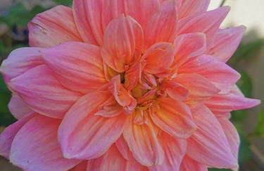 Villa Chiara Solanas - Foto 48