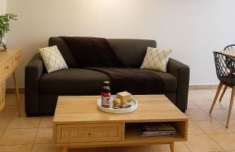 Cosy T1 30m2 avec cour en plein cœur de ville - Foto 3