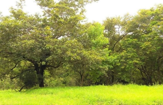 Playa Lagarto Eco Development - Foto 75