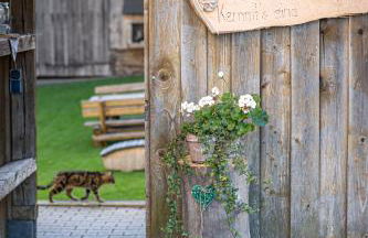 Ferienhof Weishäupl - Foto 17