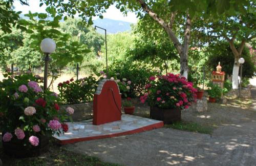 Apartments Stilos Ioannis - Foto 48