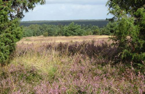 Ferienwohnung Margret und Kord Hedder - Foto 9