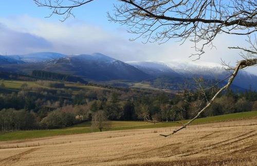 Mike's 3-bedroom Countryside Cottage - Foto 43