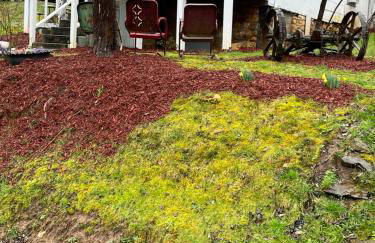 Cochran Farm House - Foto 20