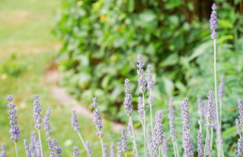 Ferienwohnung Veronika Heilbock - Foto 5
