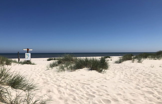 Mälarhusen Semesterby Österlen - Stugor & Gårdssviter - Photo 8