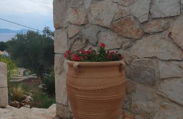 Villa Sasà - Foto 59