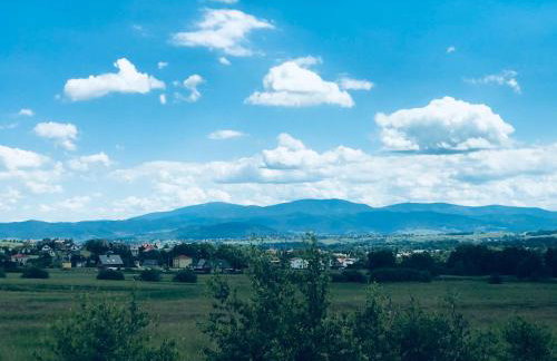 Domek na Kamieńcu - Foto 20