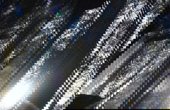 Les Landines - Foto 21