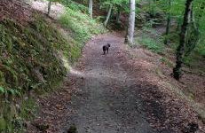 Kaszuby Punkt Klonowo Przywidz sauna klima basen - Foto 62