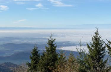 Ausblick apartments - Foto 75