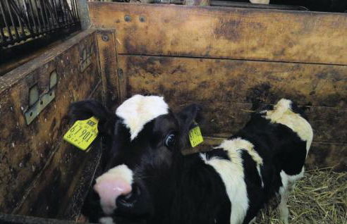 Cozy Apartment In Meisburg With Wifi - Foto 27