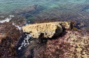 Attico Fronte Mare Salento - Foto 37