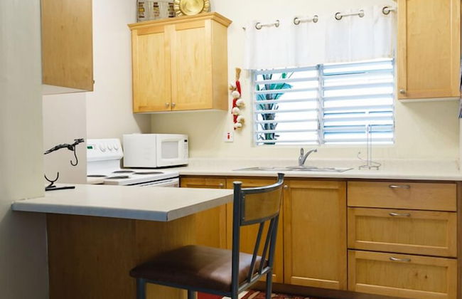 New Kingston Guest Apartment VII - Foto 13