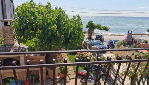 App Maria 1 - Foto 4