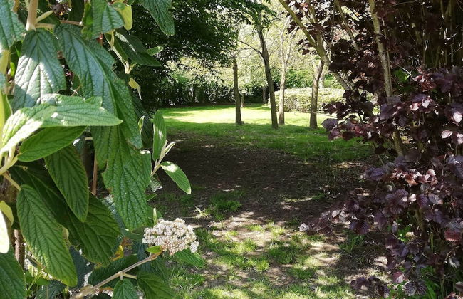 Beautiful Villa for Groups With Swimming Pool, Sauna and Wifi - Foto 36