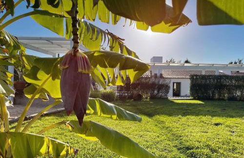 Herdade do Kuanza - Foto 48