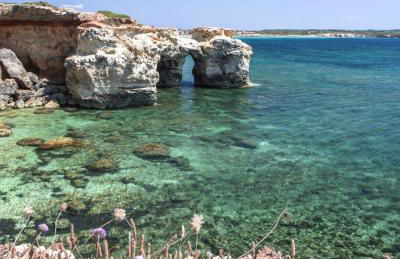 Ale house experience - Foto 43