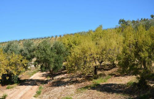 Torre Bruno - Foto 54