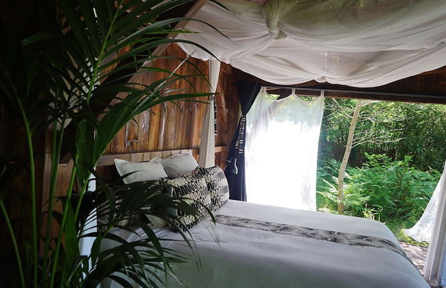 Les Landines - Foto 6