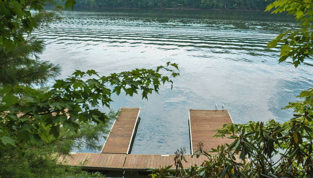 Servizio della struttura