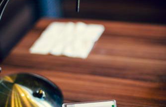 Winnica Dwie Granice Agroturystyka Przysieki - Foto 43